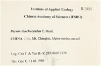 登錄號:B00013454藏品圖，第2張