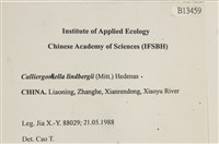 登錄號:B00013459藏品圖，第2張