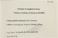 登錄號:B00013460藏品圖，第2張