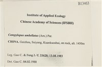 登錄號:B00013463藏品圖，第2張