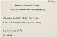 登錄號:B00013467藏品圖，第2張