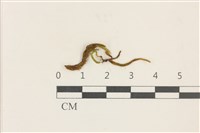 登錄號:B00013467藏品圖，第1張