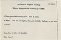 登錄號:B00013469藏品圖，第2張