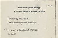 登錄號:B00013471藏品圖，第2張