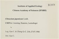 登錄號:B00013474藏品圖，第2張