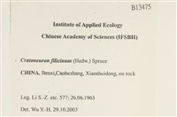 登錄號:B00013475藏品圖，第2張