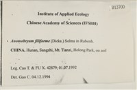 登錄號:B00013700藏品圖，第2張