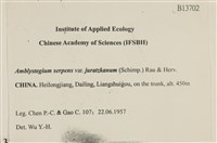 登錄號:B00013702藏品圖，第2張