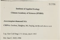 索氏叢本蘚藏品圖，第2張