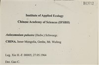 登錄號:B00013712藏品圖，第2張