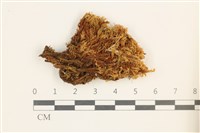 登錄號:B00013713藏品圖，第1張