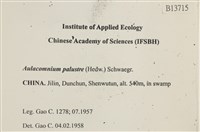 登錄號:B00013715藏品圖，第2張