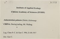 登錄號:B00013718藏品圖，第2張