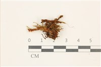 登錄號:B00013718藏品圖，第1張