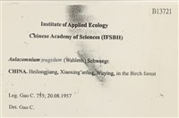 登錄號:B00013721藏品圖，第2張