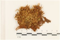 登錄號:B00013722藏品圖，第1張