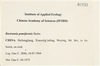 登錄號:B00013723藏品圖，第2張