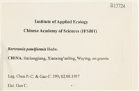 登錄號:B00013724藏品圖，第2張