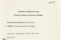 白青蘚藏品圖，第2張