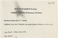 登錄號:B00013727藏品圖，第2張