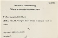 登錄號:B00013728藏品圖，第2張