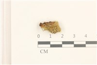 登錄號:B00013728藏品圖，第1張