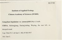 登錄號:B00013730藏品圖，第2張