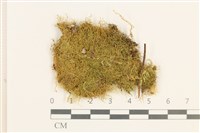 登錄號:B00013730藏品圖，第1張