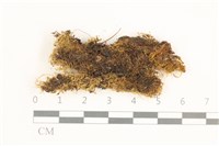 登錄號:B00013731藏品圖，第1張