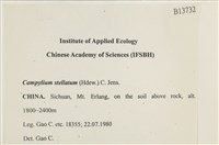 登錄號:B00013732藏品圖，第2張