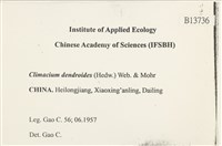 登錄號:B00013736藏品圖，第2張