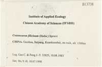 登錄號:B00013738藏品圖，第2張