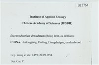 青毛苔藏品圖，第2張