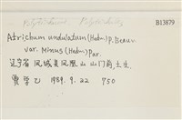 登錄號:B00013879藏品圖，第2張