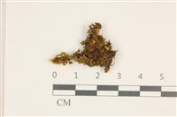 登錄號:B00013879藏品圖，第1張