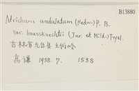 登錄號:B00013880藏品圖，第2張