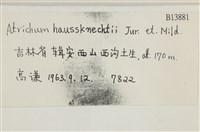 仙鶴蘚藏品圖，第2張