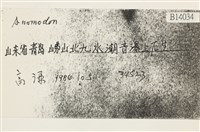 登錄號:B00014034藏品圖，第2張