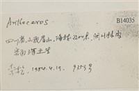 登錄號:B00014035藏品圖，第2張