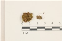 登錄號:B00014037藏品圖，第1張