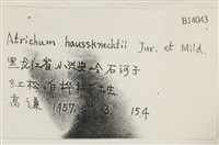 仙鶴蘚藏品圖，第2張