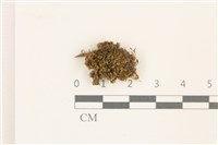 登錄號:B00014046藏品圖，第1張