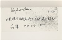 登錄號:B00014054藏品圖，第2張