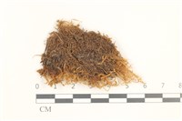 登錄號:B00014054藏品圖，第1張