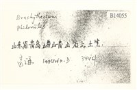 登錄號:B00014055藏品圖，第2張