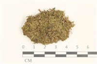 登錄號:B00014055藏品圖，第1張