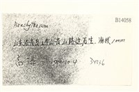 登錄號:B00014058藏品圖，第2張