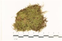 登錄號:B00014059藏品圖，第1張