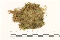 登錄號:B00014060藏品圖，第1張