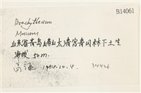 登錄號:B00014061藏品圖，第2張